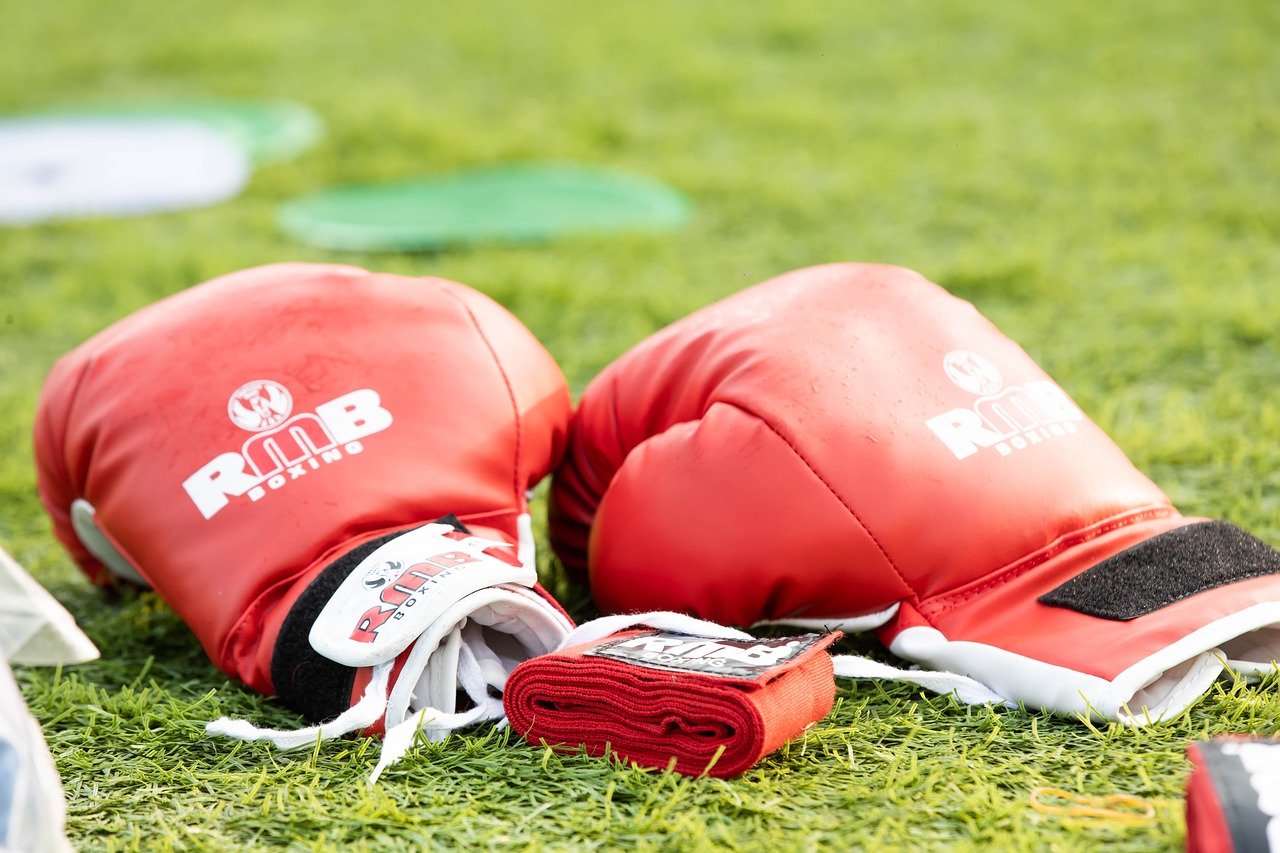 https://pixabay.com/es/photos/guantes-de-boxeo-boxeo-campo-8503136/