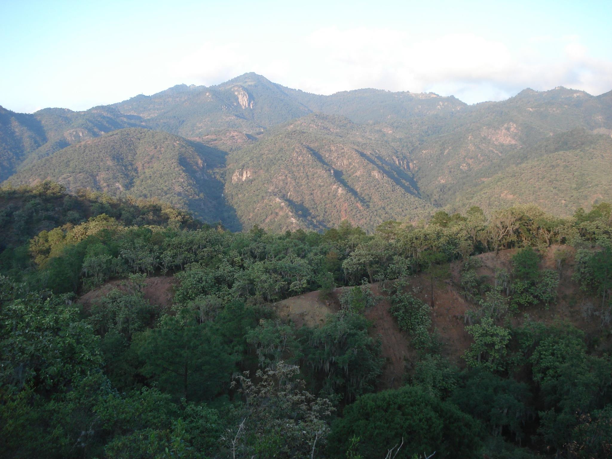 https://www.gob.mx/semarnat/articulos/parque-nacional-el-potosi