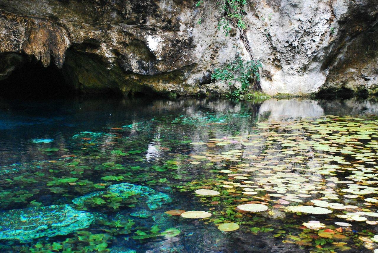 https://www.tripadvisor.com.mx/Attraction_Review-g150813-d669578-Reviews-Gran_Cenote-Tulum_Yucatan_Peninsula.html#/media-atf/669578/136918712:p/?albumid=-160&type=0&category=-160