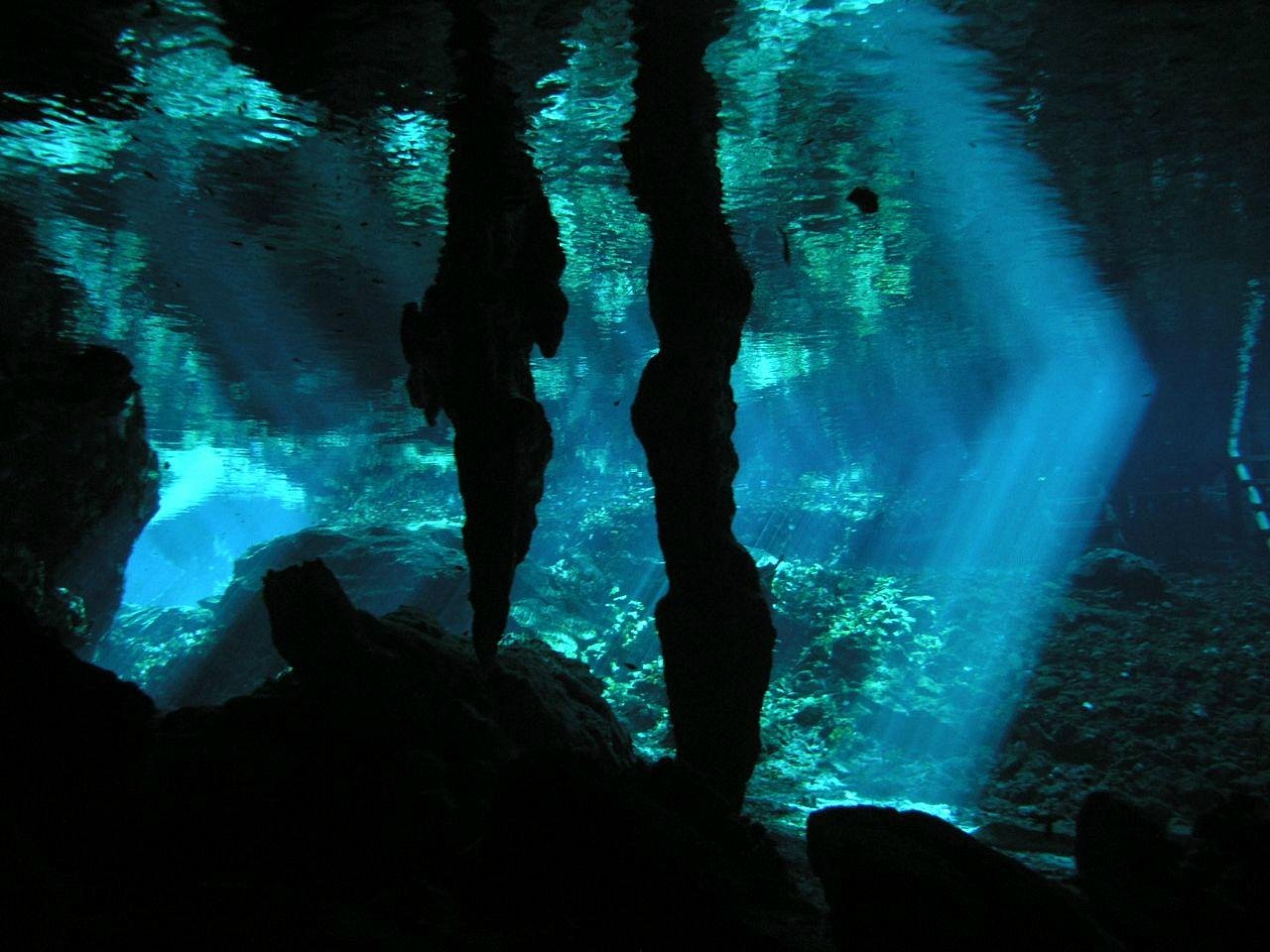 https://www.tripadvisor.com.mx/Attraction_Review-g150813-d669578-Reviews-Gran_Cenote-Tulum_Yucatan_Peninsula.html#/media-atf/669578/136918713:p/?albumid=-160&type=0&category=-160