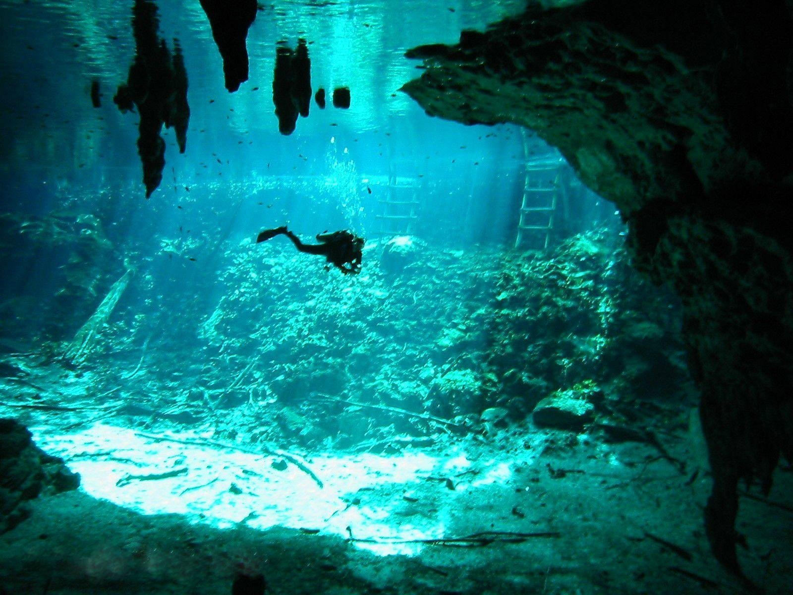 https://www.tripadvisor.com.mx/Attraction_Review-g150813-d669578-Reviews-Gran_Cenote-Tulum_Yucatan_Peninsula.html#/media-atf/669578/136918713:p/?albumid=-160&type=0&category=-160