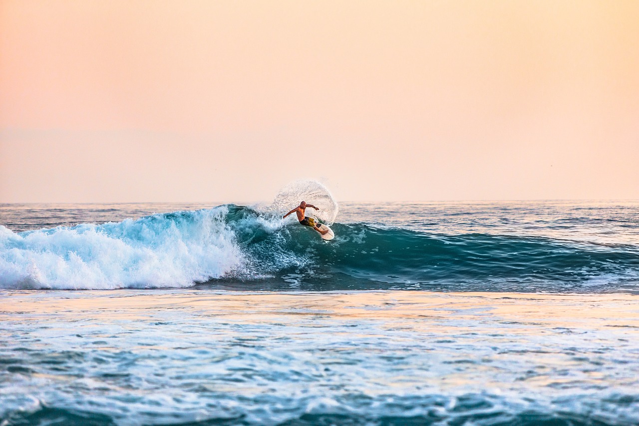 https://pixabay.com/es/photos/tablista-playa-hombre-ondas-surf-1838958/