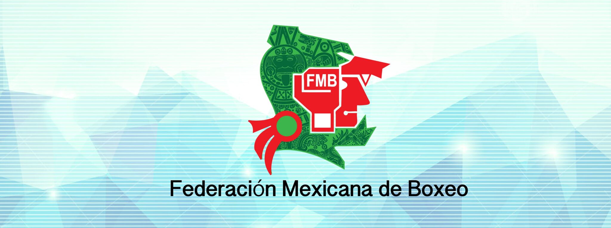 conoce-federaci-n-mexicana-de-boxeo-femebox-central-deportiva