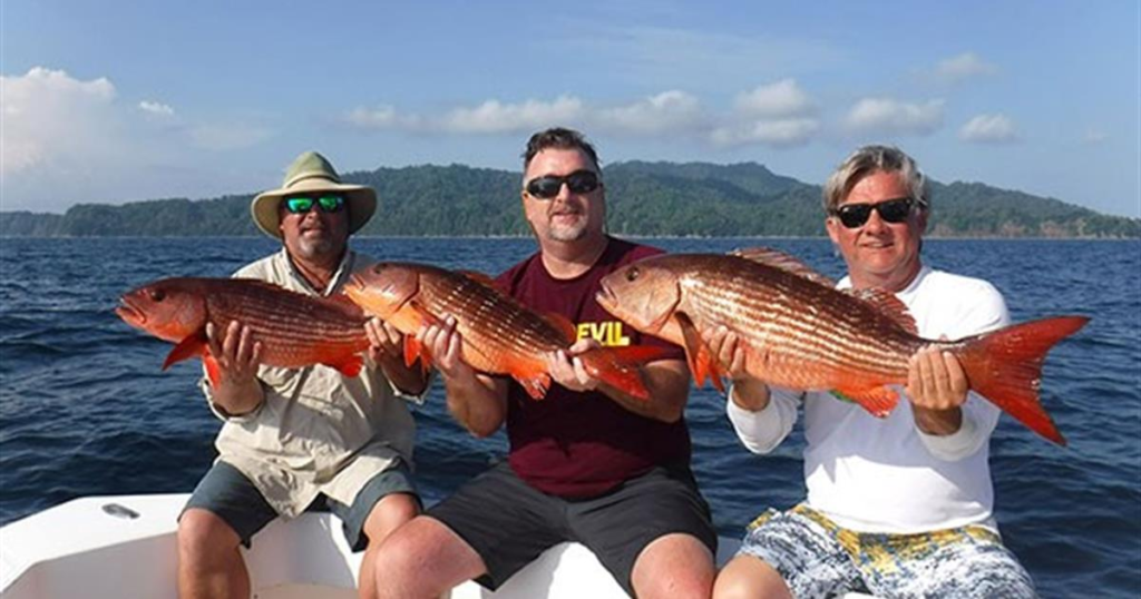 https://cdn.tiqy.com/img/t/sportfishing-day-trip-pesca-panama-sportfishing-panama-10174.jpg?width=1200&height=630&fixedwidthheight=true